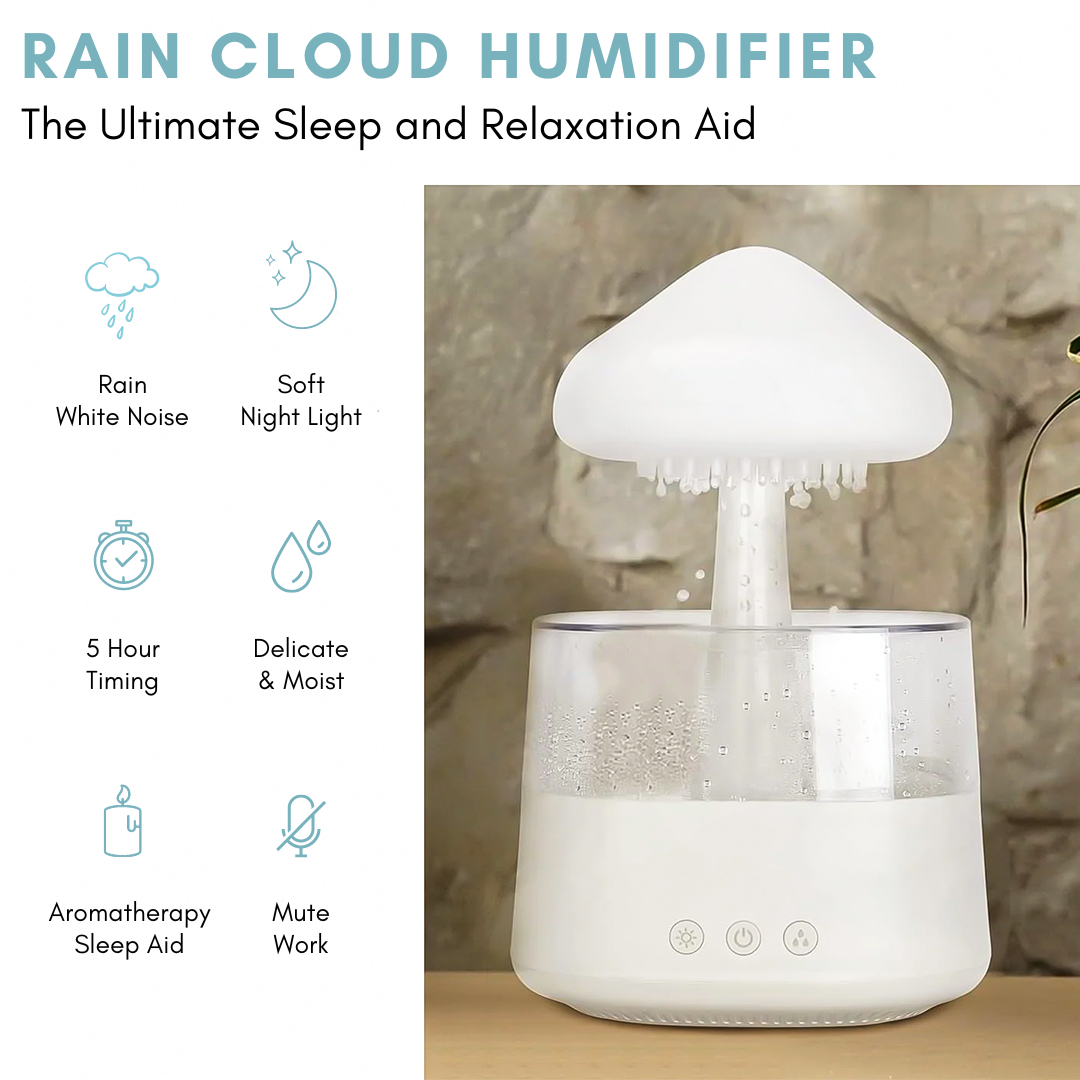 Rain Cloud Humidifier