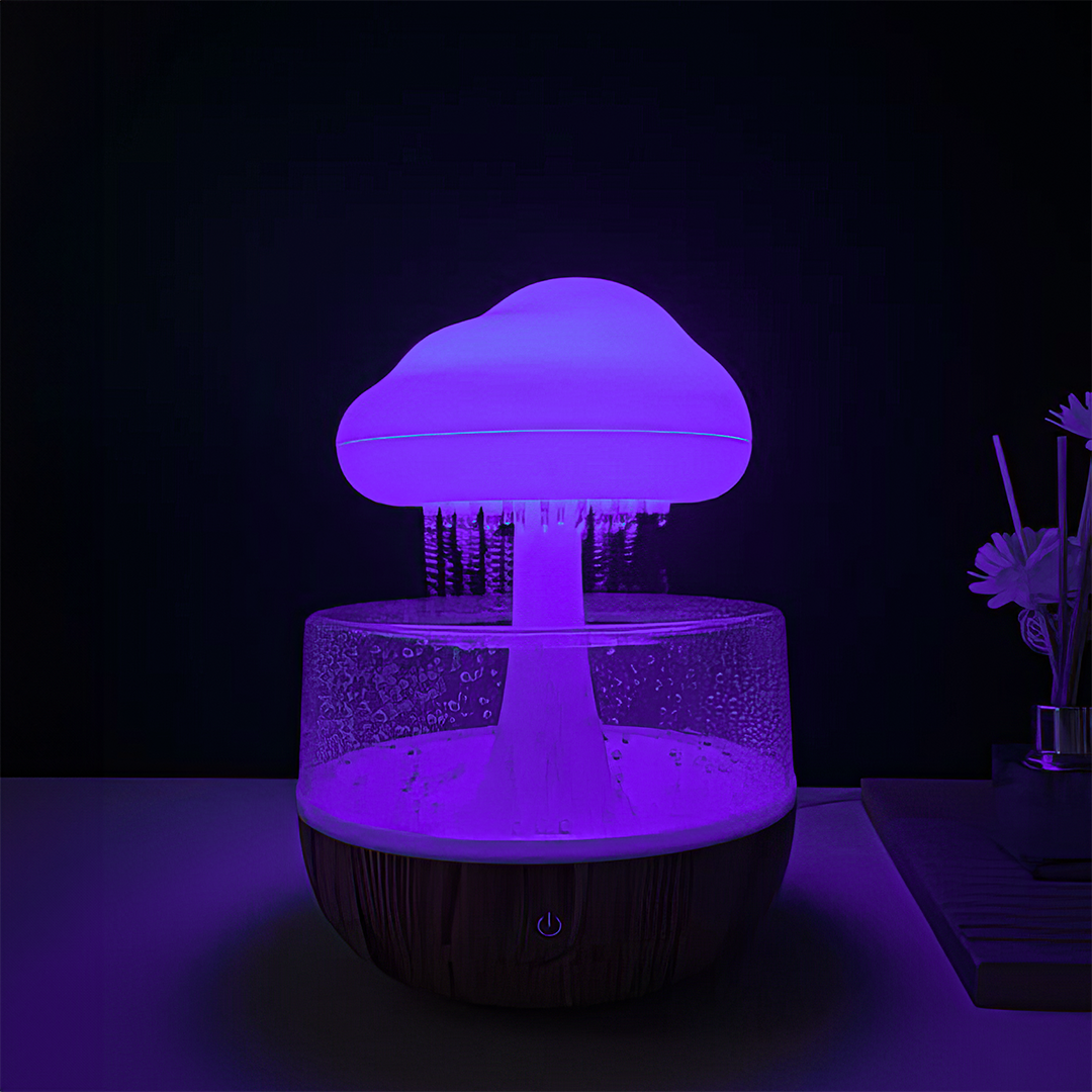 Rain Cloud Humidifier